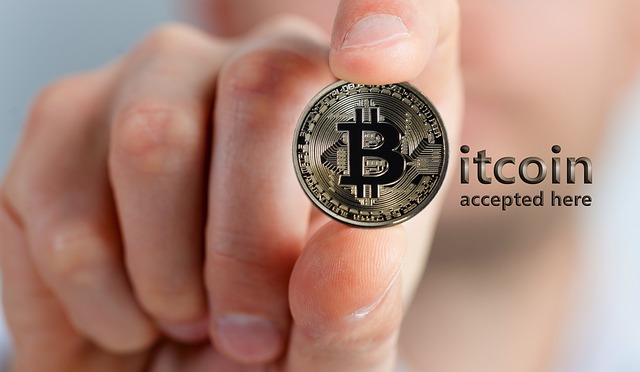 bitcoin crypto-měna